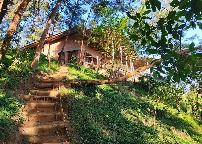 Paradise Eco Farm Homestay