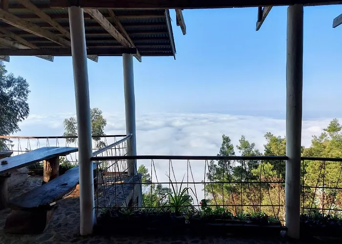 Paradise Eco Farm Homestay