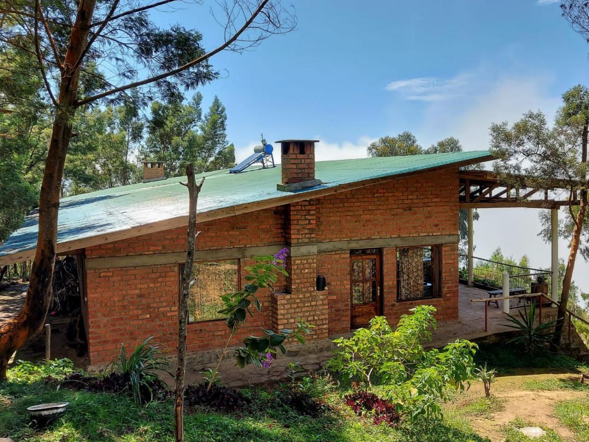 Paradise Eco Farm Homestay Lushoto