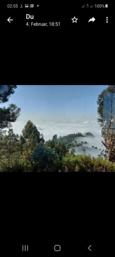 Paradise Eco Farm