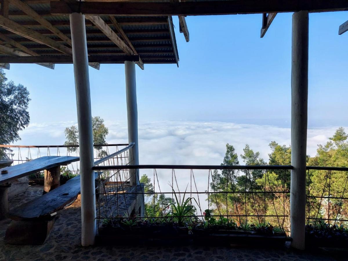 Paradise Eco Farm Homestay *
